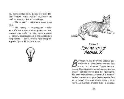 Расследование в кафе Крендель с корицей Printed books Махаон