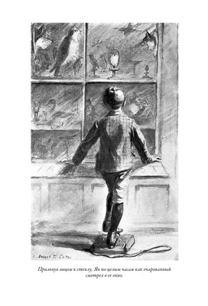 Маленькие дикари. Эрнест Сетон-Томпсон Printed books СЗКЭО