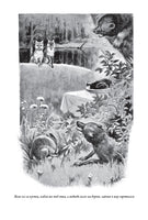 Малороссийские сказки. Клавдия Владимировна Лукашевич Printed books СЗКЭО