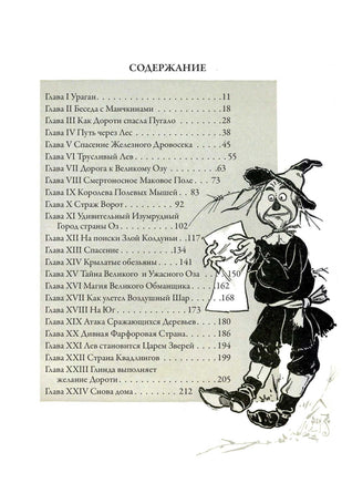 Удивительный волшебник из страны Оз. Удивительная страна Оз Printed books СЗКЭО