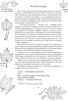 Маленькие дикари. Эрнест Сетон-Томпсон Printed books СЗКЭО