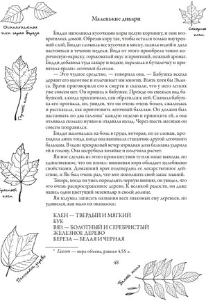 Маленькие дикари. Эрнест Сетон-Томпсон Printed books СЗКЭО