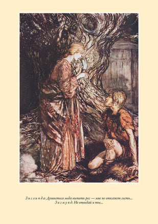 Кольцо нибелунга. Рихард Вагнер Printed books СЗКЭО