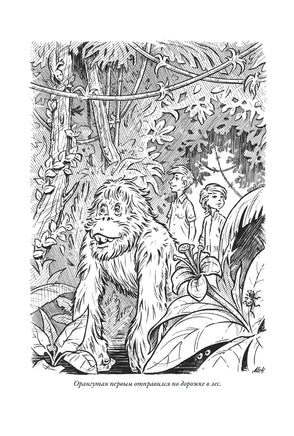 Приключения Алисы 6. Драконозавр Printed books СЗКЭО