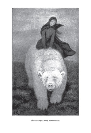 Норвежские сказки. Петер Асбьёрнсен Printed books СЗКЭО