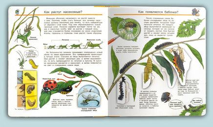 Что? Почему? Зачем? Всё о насекомых (с волшебными окошками) Printed books Омега