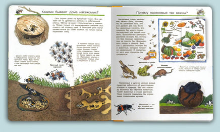Что? Почему? Зачем? Всё о насекомых (с волшебными окошками) Printed books Омега