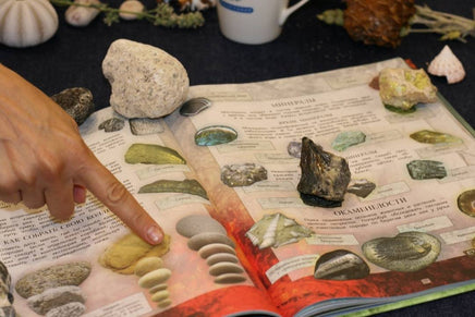 Дневник юного натуралиста: скрапбук Бакингем К., Пиннингтон А. Printed books Лаборатория знаний