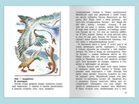 Чаплина В. Мои питомцы Printed books Омега