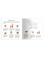 Первая книга знаний. Наш четвероногий друг Printed books Омега