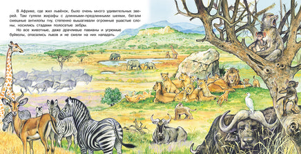 Приключения львенка Printed books Фламинго