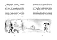 Сто платьев. Элинор Эстес Printed books Мелик Пашаев