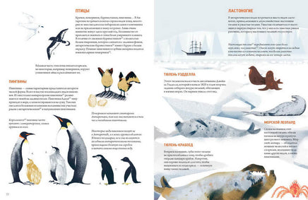 Антарктида. Удивительные факты о самом загадочном континенте Земли Printed books МИФ