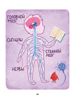 Как устроен человек: энциклопедия для малышей в сказках Printed books Феникс-Премьер