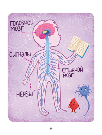 Как устроен человек: энциклопедия для малышей в сказках Printed books Феникс-Премьер