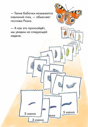 Дневник гусеницы. Комиксы с Конни Printed books Альпина