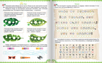 Нейропрописи. Нейропримеры Printed books Открытая Книга