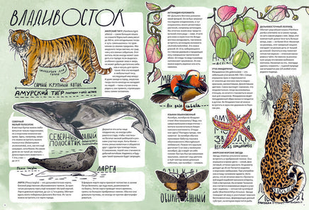 Дикие города/ П. Боев, Д. Буренко Printed books Пешком в Историю