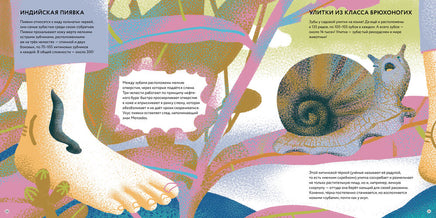Зубки и зубищи/ А. Фелисити Printed books Пешком в Историю