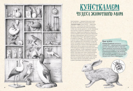 На грани исчезновения: животный мир Земли Printed books Пешком в Историю