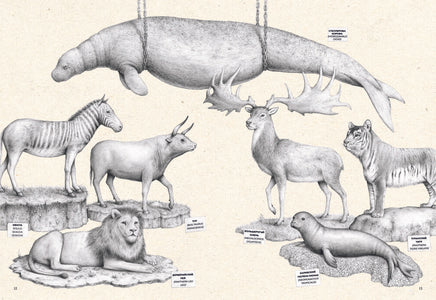 На грани исчезновения: животный мир Земли Printed books Пешком в Историю