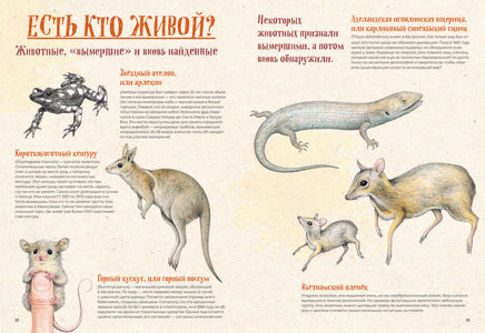 На грани исчезновения: животный мир Земли Printed books Пешком в Историю
