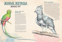 На грани исчезновения: животный мир Земли Printed books Пешком в Историю