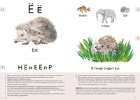 Букварь для детей с особенностями развития Printed books Альпина