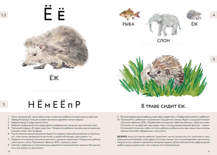 Букварь для детей с особенностями развития Printed books Альпина