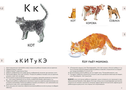 Букварь для детей с особенностями развития Printed books Альпина