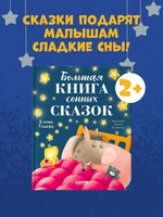 Большая книга сонных сказок. Сказкотерапия. Ульева Е. Printed books Клевер