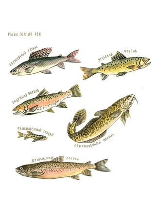 Руфус на рыбалке. Д. Доленски, Я. Тврдонь Printed books Белая Ворона