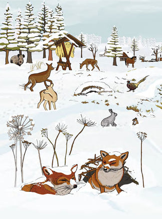 Большая книга снега и льда. Секанинова Ш. Printed books Альпина