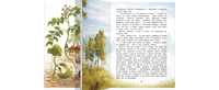 Ботанические сказки Printed books ЭНАС