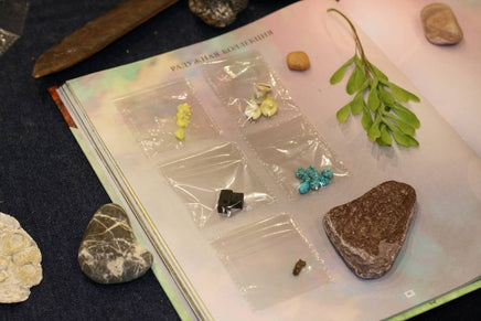 Дневник юного натуралиста: скрапбук Бакингем К., Пиннингтон А. Printed books Лаборатория знаний