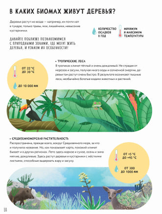 Тайны деревьев. Новеллино Массимо Доменико Printed books Пешком в Историю