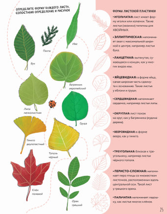 Тайны деревьев. Новеллино Массимо Доменико Printed books Пешком в Историю