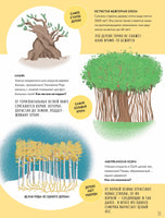 Тайны деревьев. Новеллино Массимо Доменико Printed books Пешком в Историю