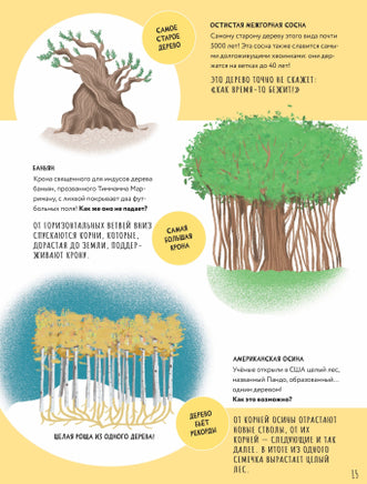 Тайны деревьев. Новеллино Массимо Доменико Printed books Пешком в Историю