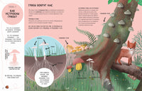 Тайны грибов. Волцит Петр, Пикоко Джиневра Printed books Пешком в Историю