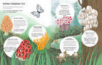 Тайны грибов. Волцит Петр, Пикоко Джиневра Printed books Пешком в Историю