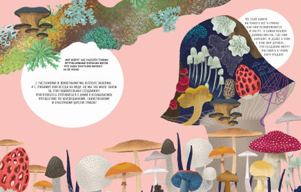 Тайны грибов. Волцит Петр, Пикоко Джиневра Printed books Пешком в Историю