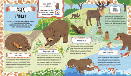 Что едят сурикаты и другие голодные животные Printed books Пешком в Историю