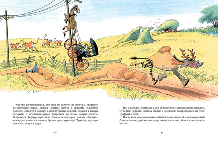 Дин-дили-дондурей Printed books Мелик Пашаев
