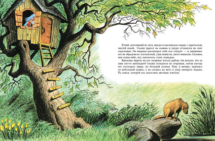 Дин-дили-дондурей Printed books Мелик Пашаев