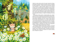 Большой Кыш/ Блинова М. Printed books Азбука