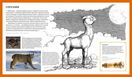 Фантастические твари. Природа чудес волшебного мира (Гарри Поттер) Printed books МАХАОН