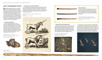 Фантастические твари. Природа чудес волшебного мира (Гарри Поттер) Printed books МАХАОН