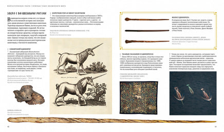 Фантастические твари. Природа чудес волшебного мира (Гарри Поттер) Printed books МАХАОН