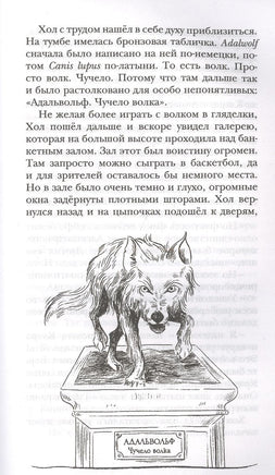 Тайна Перевала Мертвеца. Детектив. Сэджман С. Printed books МАХАОН